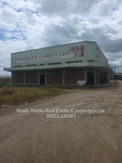 Investment Opportunity 