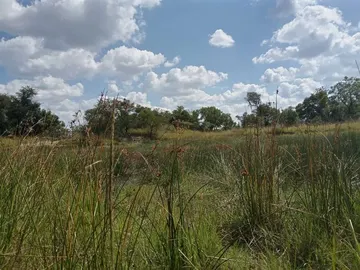 Farm & Agricultural Land
