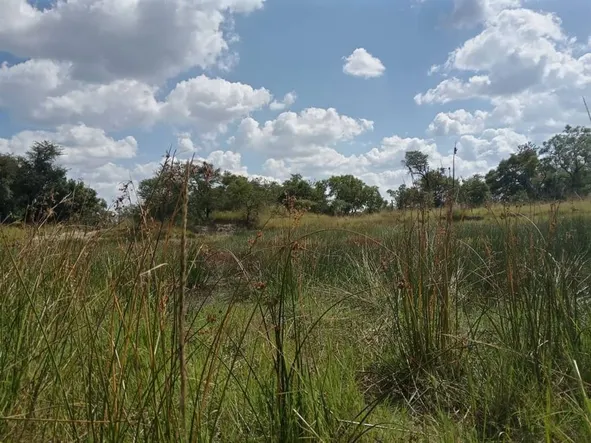 Farm & Agricultural Land