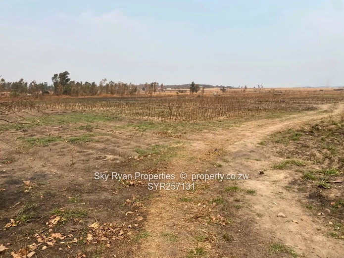 Spitzkop Land For Sale 