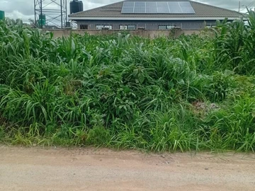 Stands & Residential Land