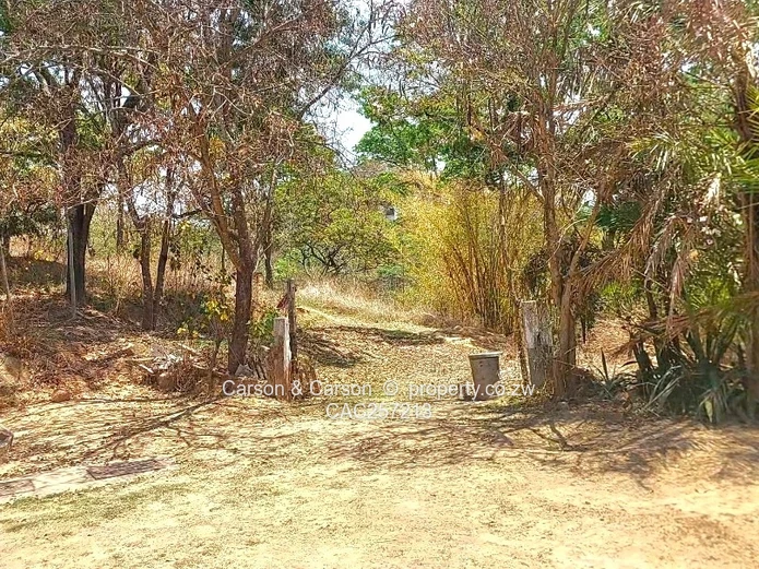 Mature Neighbourhood 