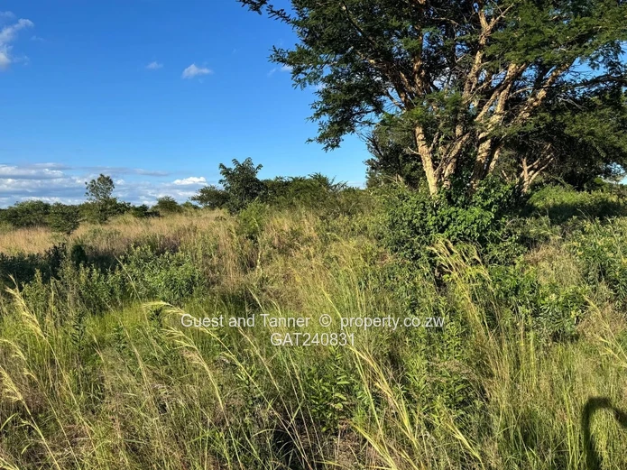 Delta Industrial Area, Rusape – Heavy Industrial Stand for Sale