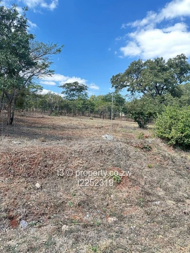 Fenced 4,520 m2 Gletwin Park Stand - Tarred Road