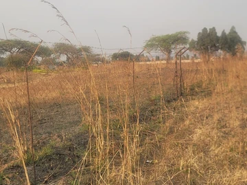 Commercial & Industrial Land