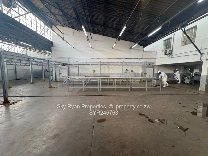 Willowvale Industrial Property For Sale