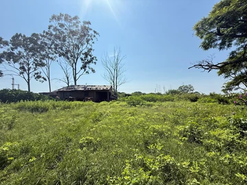 Farm & Agricultural Land