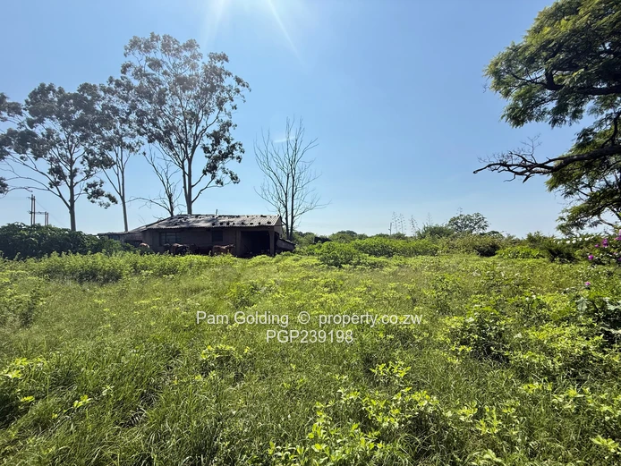Nyamandlovu 1026 farm for sale