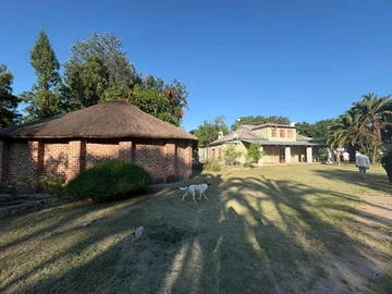 Farm & Agricultural Land