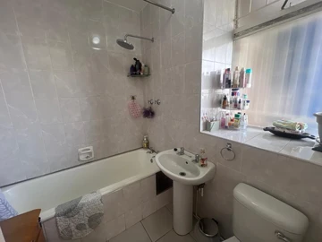Flat & Apartment
