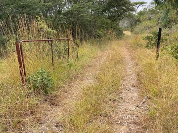 Farm & Agricultural Land