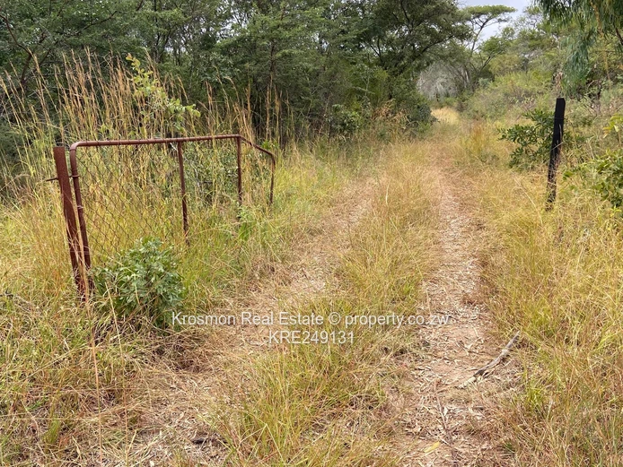 Plot For Sale