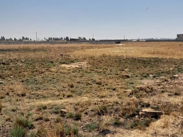 Stands & Residential Land