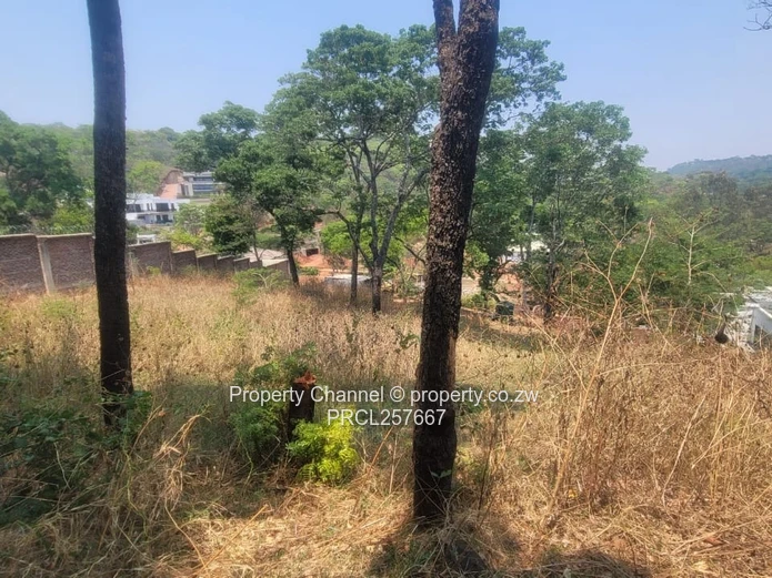 Available is a 2500m² Glen Lorne Stand