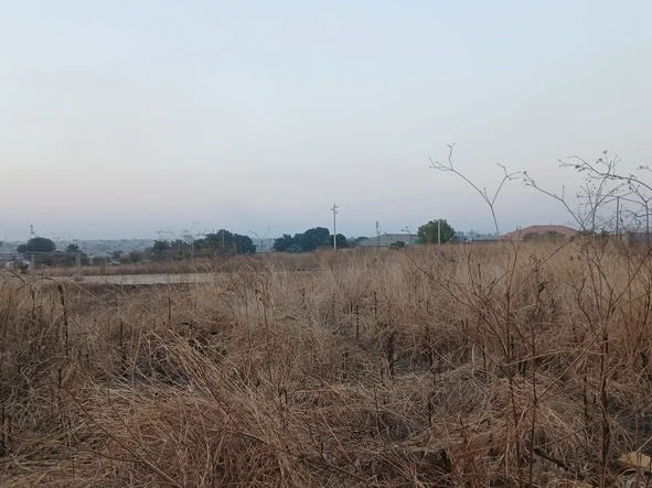 Commercial & Industrial Land