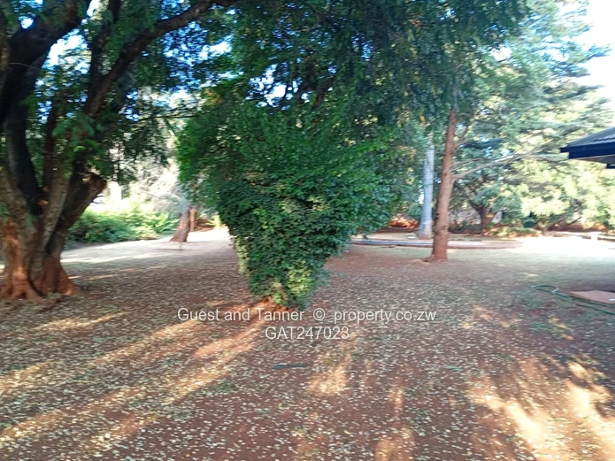 3 Bed House For Sale In Mount Pleasant