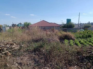 Land