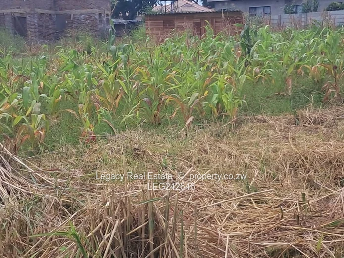 Prime 1705m² Residential Stand for Sale in Strathaven