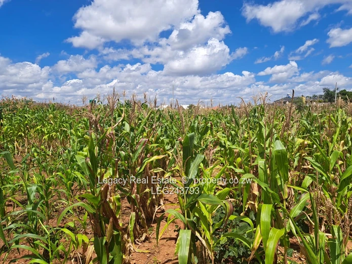 Haydon Park Residential Stand For Sale