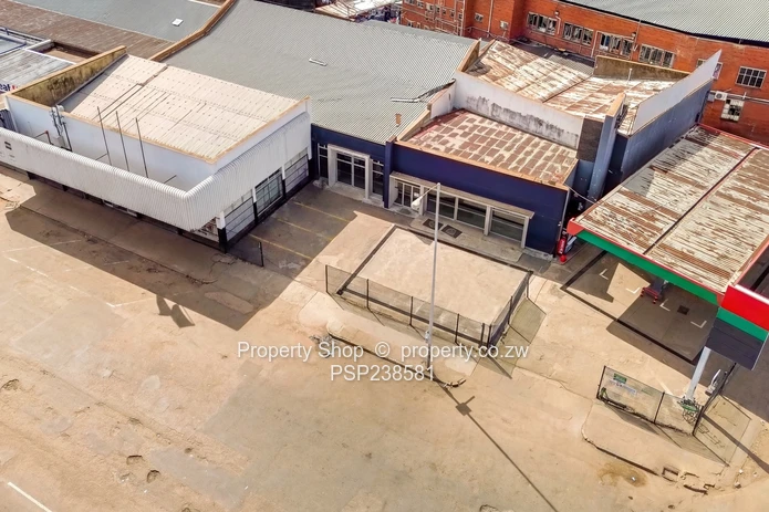 Prime High Visibility Showroom