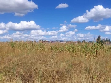 Commercial & Industrial Land