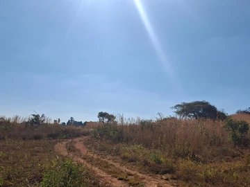 Farm & Agricultural Land