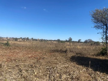 Commercial & Industrial Land