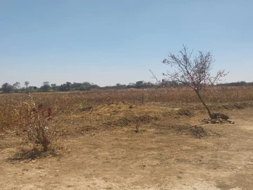 Farm & Agricultural Land