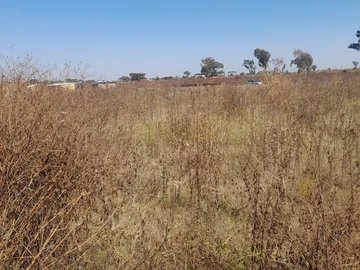 Stands & Residential Land