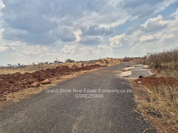 Nyeredzi Ridge Stand For Sale