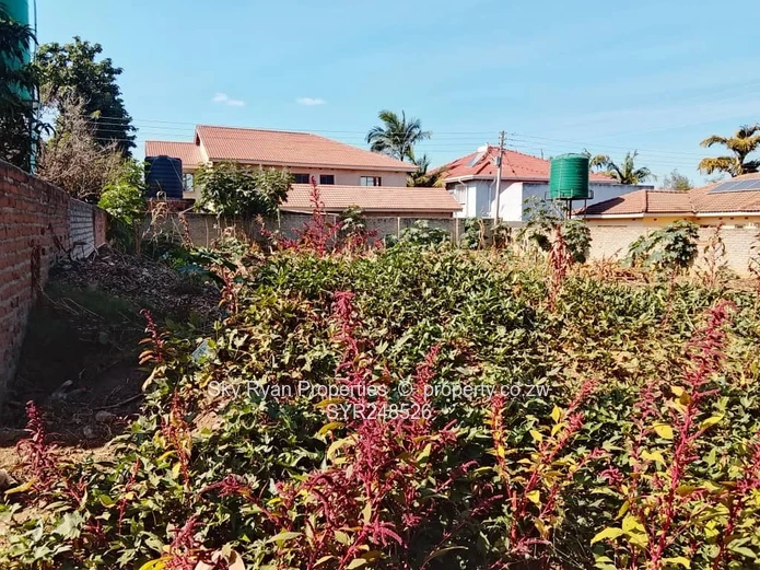Old Zimre Park Stand For Sale