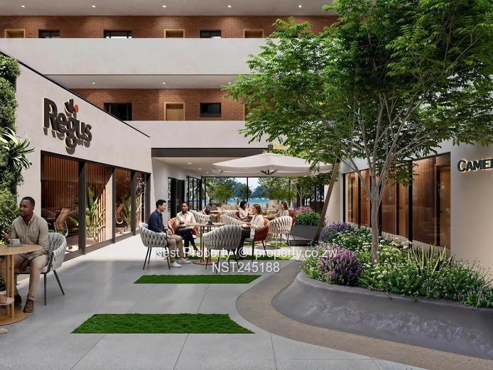 The Connaught - luxury living in Avondale!