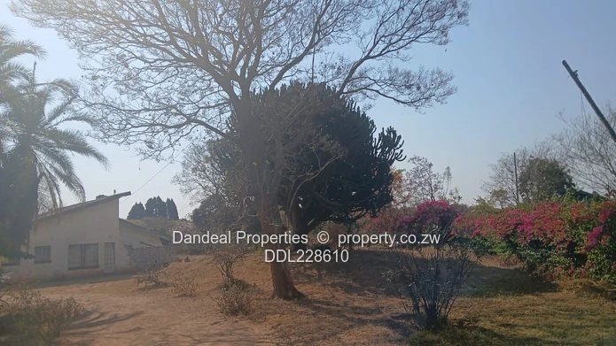 Along Twentydales Road
