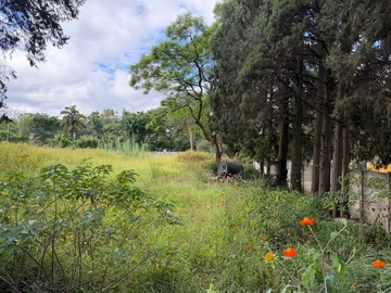 Commercial & Industrial Land