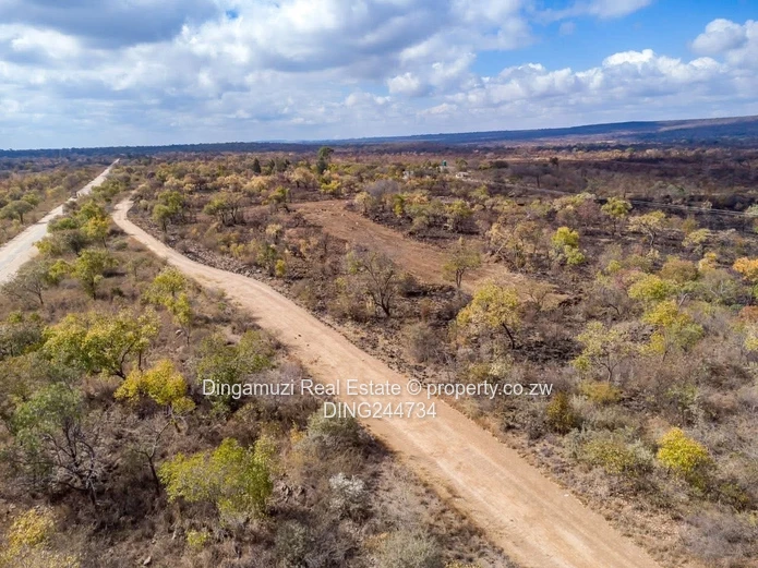 Invest in Your Future: Midlands Lower Gweru Agro-Residential Plots! ????