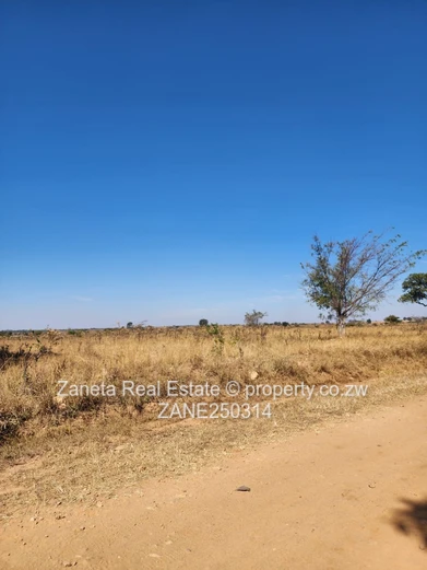 20ha Agro-plot , Hurungwe 