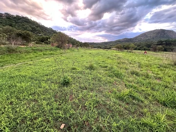 Farm & Agricultural Land