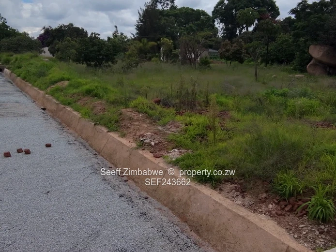 Hatfield ready to build stands with option of Terms (Sole Mandate)