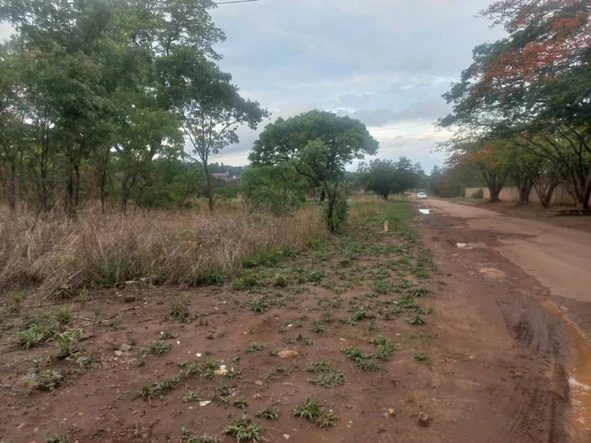 Stands & Residential Land