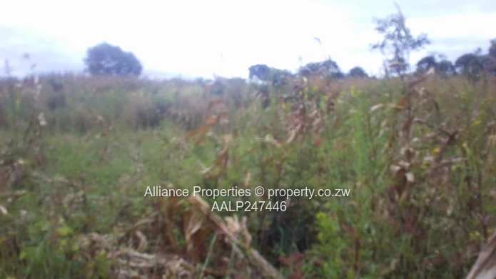 Borrowdale – Charlotte Brooke Vacant Stand For Sale