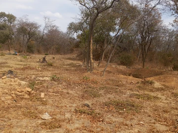 Farm & Agricultural Land