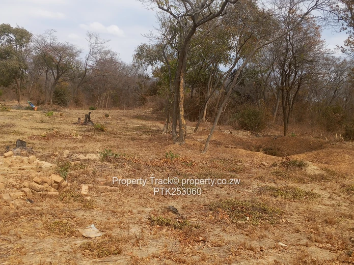 Prime 20-Agro-residential plot!