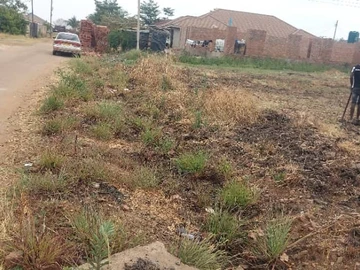 Stands & Residential Land