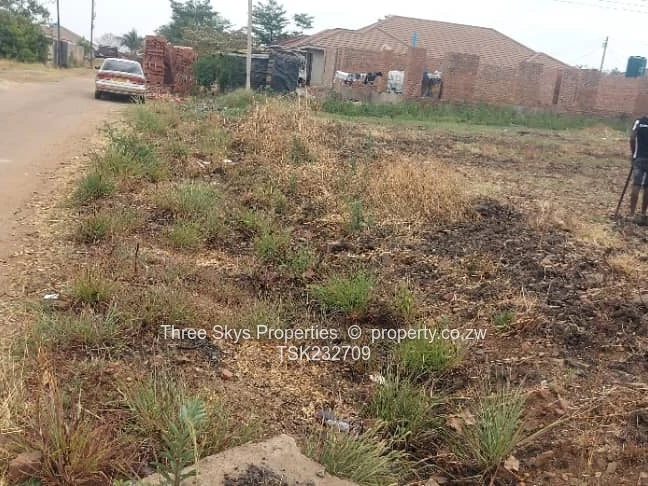 Maranatha Park Stand For Sale