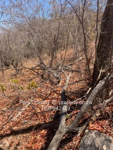 Kariba Heights Stand for Sale – Mushonga Ridge Road (Sole Mandate)