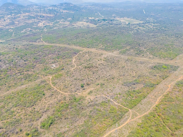 Farm & Agricultural Land