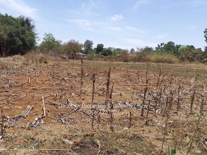 1000 m2 Marlborough Stands — Serviced.