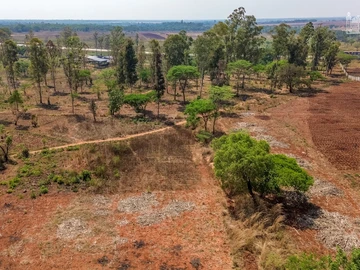 Commercial & Industrial Land