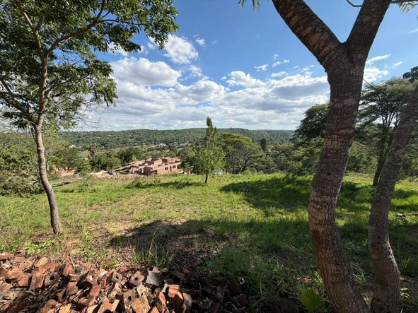 Shop & Retail Property