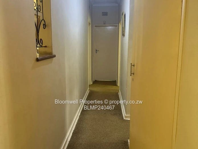 Renovators Dream With Huge Potential